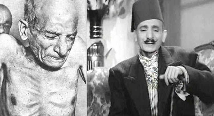محمد كمال المصري شرفنطح