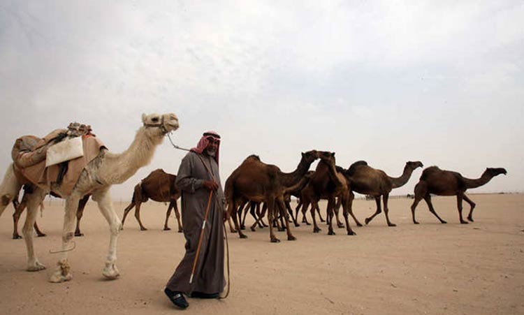 اصل الكويتيين هم من البدو الذين تنقلوا في شبه الجزيرة العربية في القرن السابع عشر، حتى قرروا الاستقرار بالكويت