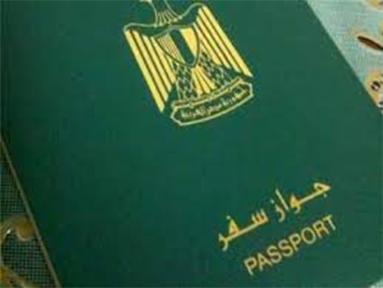 «الخارجية المصرية» تناشد المواطنين بالخارج سرعة تسلم جوازات السفر المميكنة