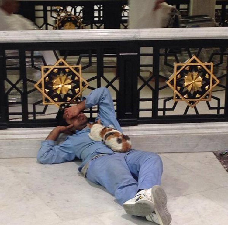 بالصورة.. عامل بالحرم المكي أخذ غفوة فنام قط على صدره مطمئناً