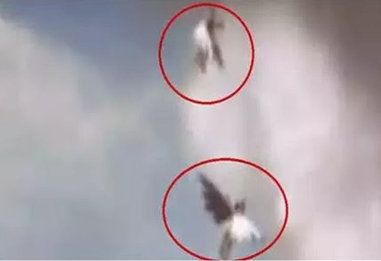 بالفيديو.. مخلوقان غريبان يطيران بين الغيوم.. قالوا إنهما ملائكة في السماء