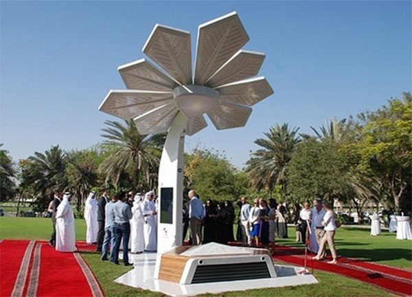النخلة الذكية اكبر مشروع في منطقة الشرق الاوسط يستطيع الجمهور فيه الحصول على خدمة واي فاي عبر الجهاز المصمم شكل نخلة مجانا، الى جانب توفر وسائل راحة خاصة من 

المقاعد والمناضد التي تسهل على الجميع التعامل مع التكنولوجيا الحديثة، وتتيح لهم معرفة كل ما يتعلق بامارة دبي واهم معالمها وكيفية الوصول الى المتنزهات والاسواق والاماكن الترفيهية 

وا