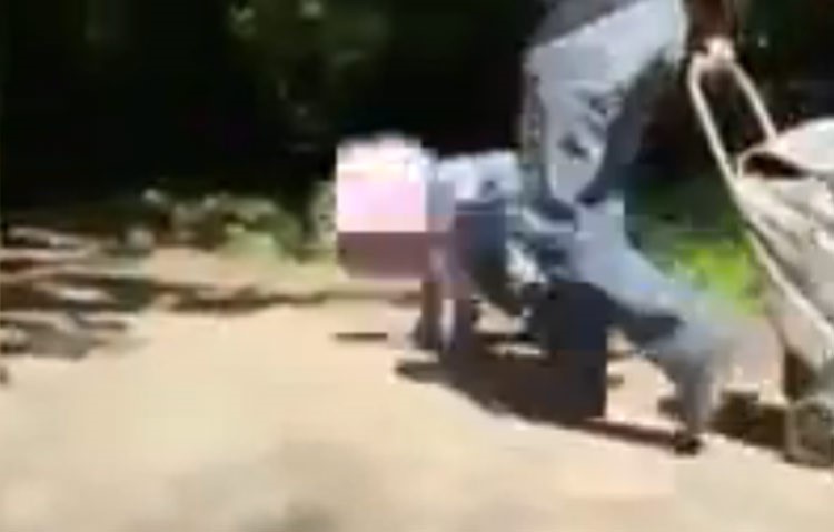 بالفيديو.. طفلة مربوطة بحبل تُجر كالكلب في الشارع تثير الجدل