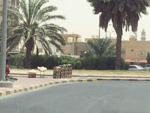متى يعود جمال «الفردوس» المفقود؟