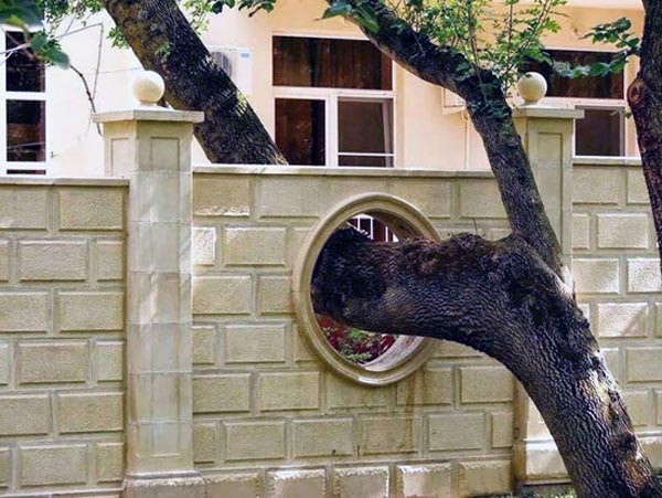 السور مفرغ خصيصا من اجل الشجرة