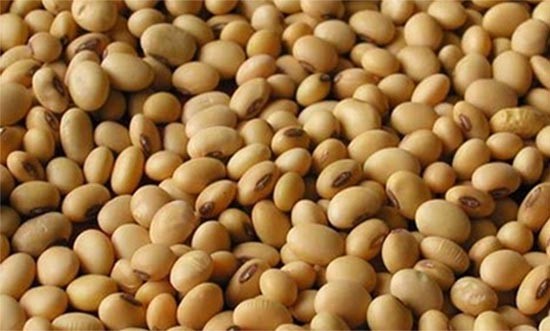 فول الصويا يسبب عقم النساء