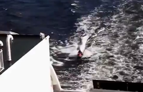 بالفيديو.. يسافر من فنلندا إلى إسبانيا بـ "جت سكي"