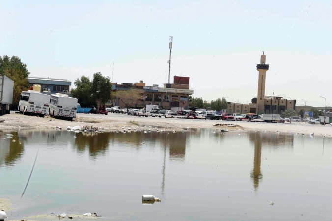 الصليبية  تستغيث