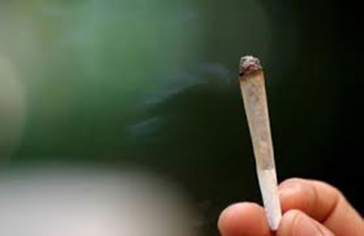 برلمانيون بريطانيون يطالبون بسوق قانوني لبيع الحشيش
