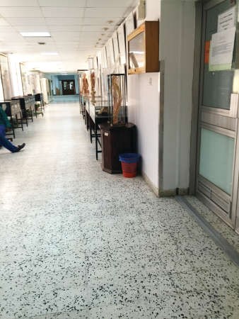 احد الممرات ﻿