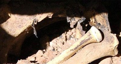 العثور على رفات جنود ألمان من الحرب العالمية الثانية فى كييف