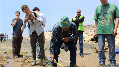 علماء ألمان يعثرون على آثار نادرة لأقدام ديناصور
