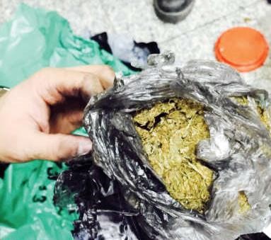 المضبوطات من الماريغوانا احيلت لـالمكافحة﻿