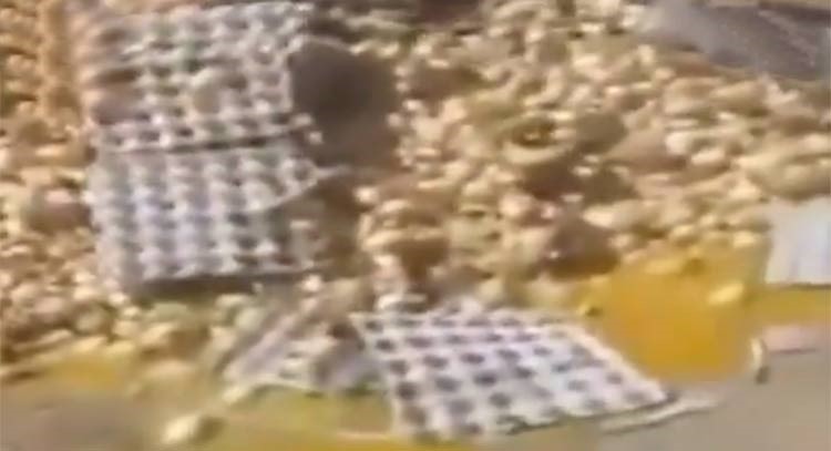 فيديو غريب.. اكوام كراتين بيض مرمية في السعودية تفقس "الصيصان" من حرارة الشمس