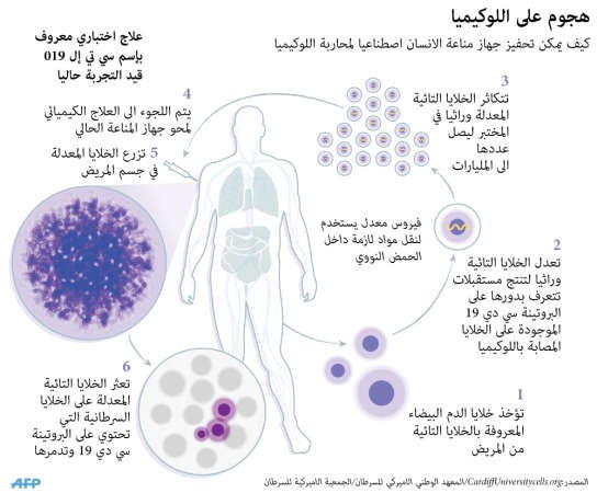 خطوات واعدة جداً لعلاج اللوكيميا