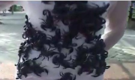 بالفيديو.. حسناء تايلندية تغطي جسدها يومياً بعقارب سامة لتسلية السياح