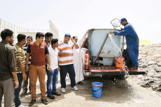 تجهيز الاسماك لاطلاقها في المياه﻿