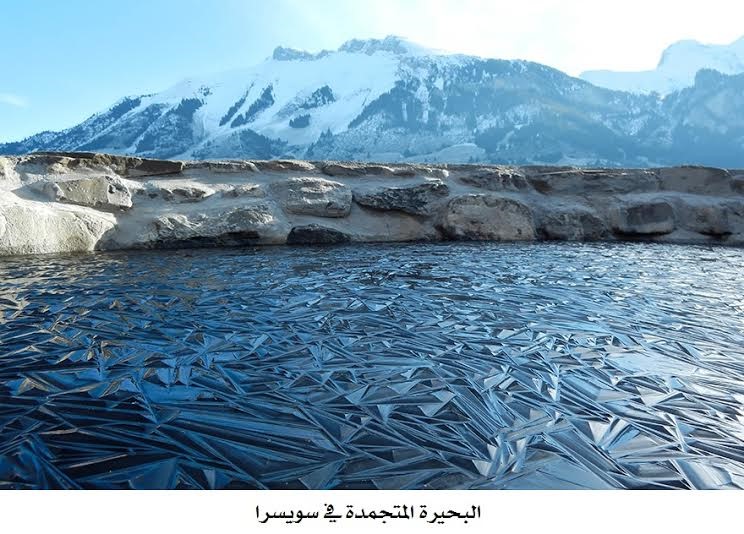 شاهد .. أغرب صور الإنترنت حقائق خارقة بعيدة عن الفوتوشوب