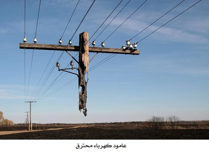 شاهد .. أغرب صور الإنترنت حقائق خارقة بعيدة عن الفوتوشوب