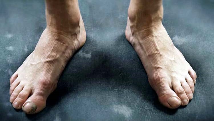 قدم ديفيد فيا