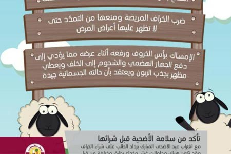 تعرف على الخدع التي قد تتعرض لها عند شراء خروف الأضحية 