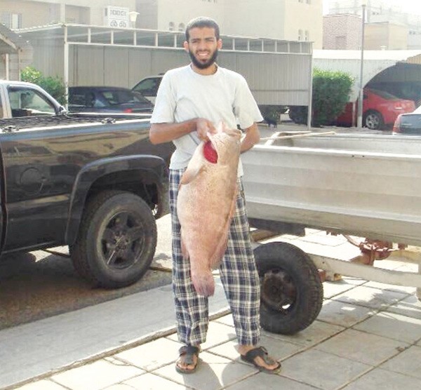 الهولي: لعبتي الأسياف.. والجنوب صيد طول السنة