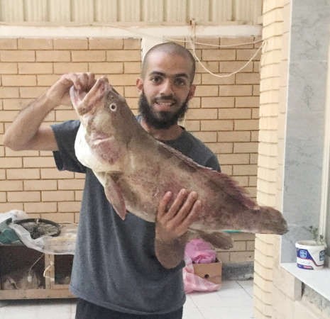 الهولي: لعبتي الأسياف.. والجنوب صيد طول السنة