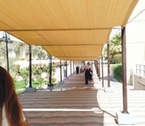 جانب من الطلبة الحضور ﻿