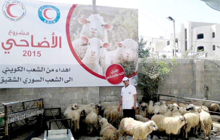 مشروع الاضاحي للاجئين في الاردن ﻿