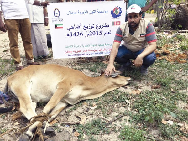 ايهاب الدبوس يتابع تنفيذ مشروع الاضاحي بسريلانكا﻿