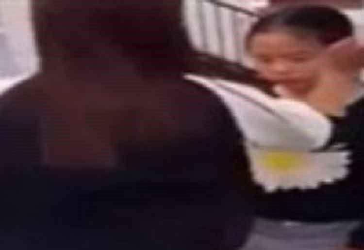 بالفيديو.. لقطات مروعة لفتيات يضربن فتاة 3 ساعات على وجهها 