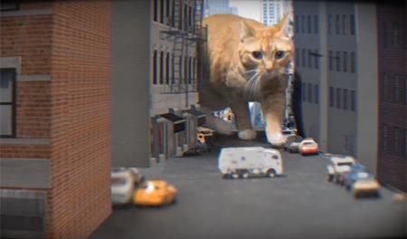 بالفيديو.. قطط عملاقة تهاجم نيويورك