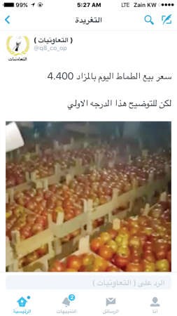 احد المغردين يلتقط صورة لمزاد يوم امس السبت على صنف الطماطم﻿