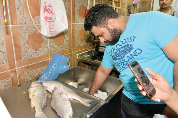 اسماك غير صالحة للاكل