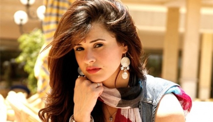 بالصور.. فنانات متهمات بخطف رجال من زوجاتهم!