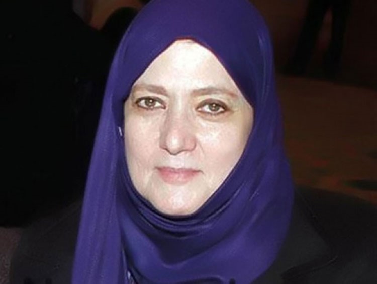 شمس البارودي