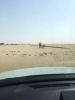 أعمدة السالمي .. أخشاب بلا أسلاك بعد أن قضى عليها اللصوص