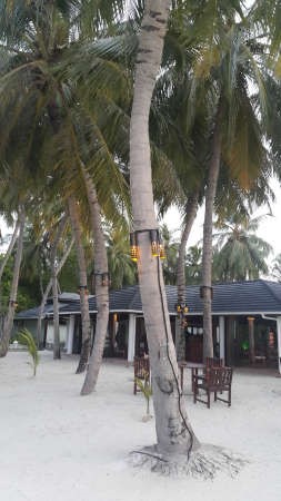 Sun island كل زاوية منها حكاية جمال
