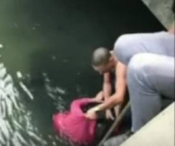بالفيديو.. يقفز فى نهر لإنقاذ زوجين عجوزين من الغرق