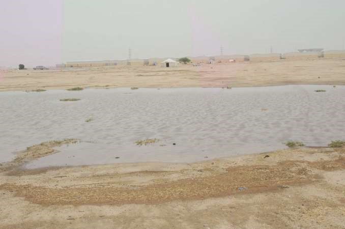 توقعات بهطول الأمطار خلال اليومين المقبلين