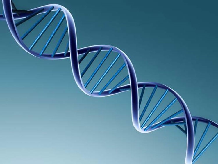 أجرى تحليل DNA لابنه فاكتشف أنه ابن شقيقه الميت!