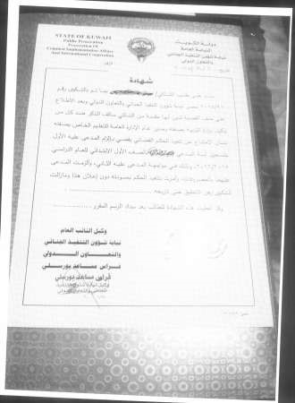 فاتورة شراء بدون ذكر اسم الاصناف﻿