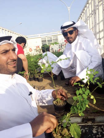 توزيع الشتلات على المواطنين﻿