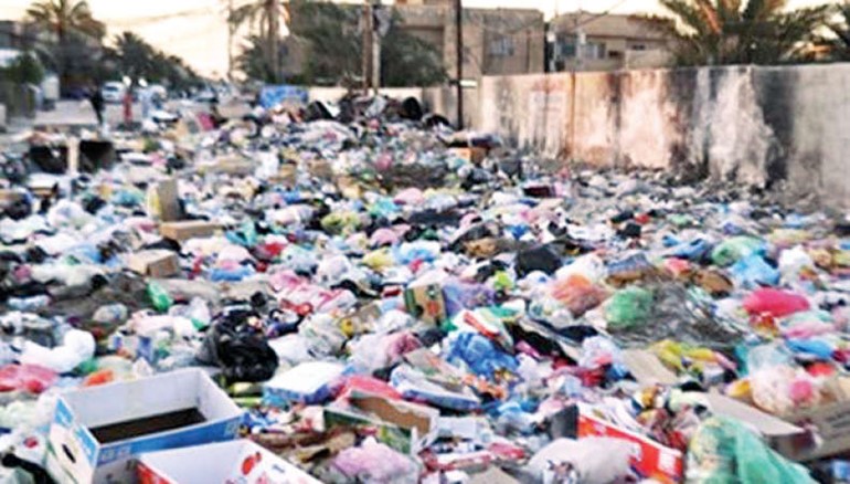 موجة ذباب تثير هلع أهالي الأشرفية والنهر
