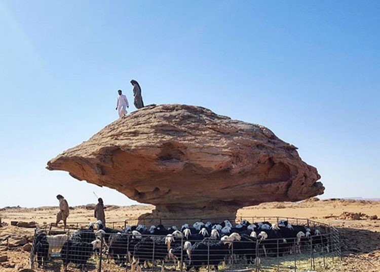 بالصور.. رحالة سعوديون يكشفون الموائد الصخرية للعالم