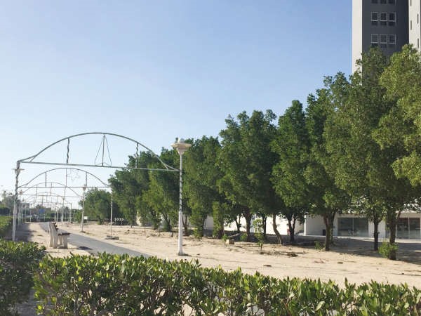المنطقة بحاجة الى تطوير وتاهيل الساحات الترابية 