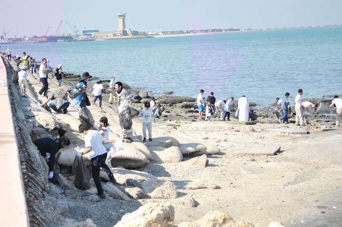 عملية السلاحف البحرية على شاطئ الشويخ﻿