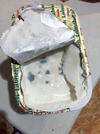 العفن داخل العلبة بعد فتحها مباشرة ﻿