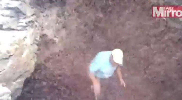 بالفيديو.. لحظة تعرض رجل لهجوم مباغت من آلاف الحشرات