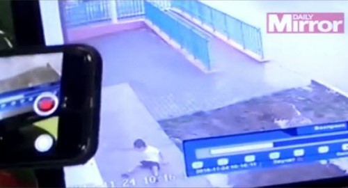 بالفيديو... لقطات مؤلمة لطفل يسقط من نافذة حضانة